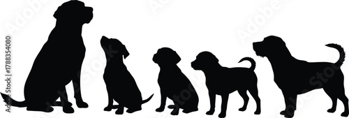 Silhouette of five dogs sitting and standing together, pet friendship, loyalty, cute puppies, animal group, outdoor love, companionship, happiness
