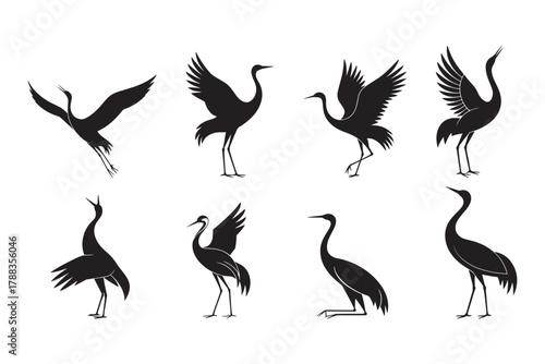 Crane bird silhouettes collection, elegant heron poses, flying and standing birds, wildlife illustration, nature animal design, graceful bird vector