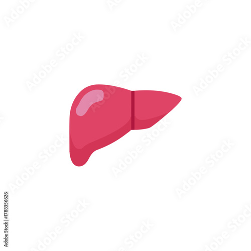 Anatomical Liver Icon Medical, Healthcare, Digestive System