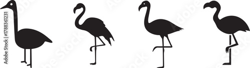  minimalist flamingo icon flamingo, bird, silhouette, minimal, line art, navy blue silhouette, flamingo vector,