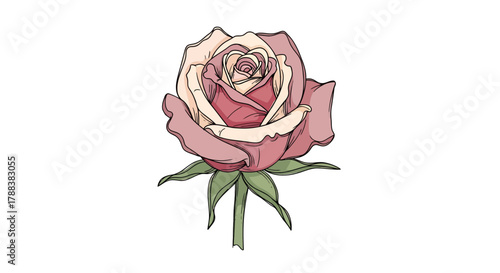 A Delicate Bloom: Hand-Drawn Rose Illustration with Subtle Color Palette and Fine Detailing