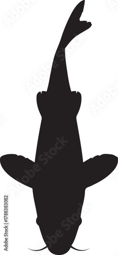 Black silhouette of a koi fish swimming upwards. Vector Black silhouettes. with white background