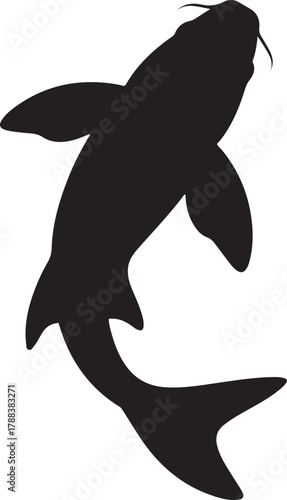 Black silhouette of a koi fish swimming upwards. Vector Black silhouettes. with white background