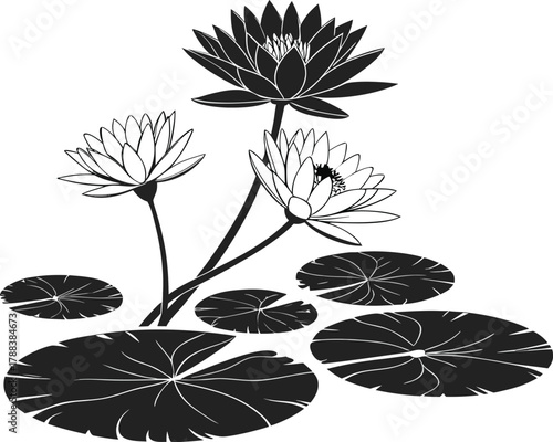silhouette of lotus flowers and lily pads