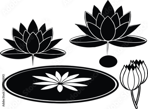 silhouette of lotus flowers and lily pads