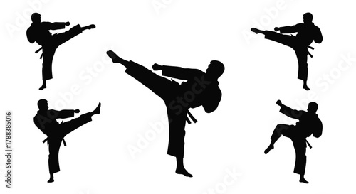 Silhouettes of martial artists practicing dynamic kicks in a striking pose