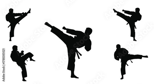 Silhouettes of martial artists performing dynamic kicking techniques in action