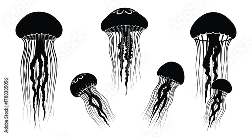 Black and white illustration depicting a collection of jellyfish in various forms