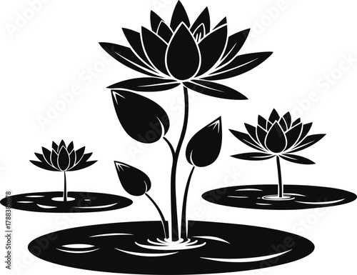 silhouette of lotus flowers and lily pads