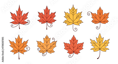 Decorative autumn maple leaves illustration in warm seasonal colors for graphic projects