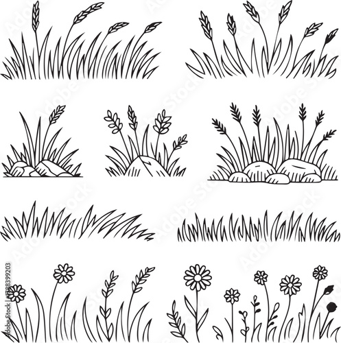 A collection of hand drawn grass and flower illustrations in black and white style