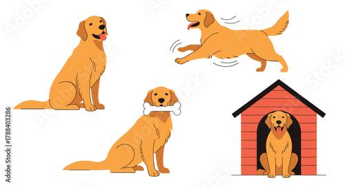 Vector illustration set of an adorable golden retriever dog demonstrating different actions and behaviors on a white background.