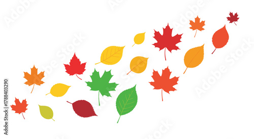 Colorful autumn leaves in various shapes and sizes, including maple and oval, arranged diagonally on a white background.