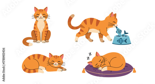 Cute orange tabby cats showcasing various daily activities like sitting, walking, eating fish, and sleeping peacefully.