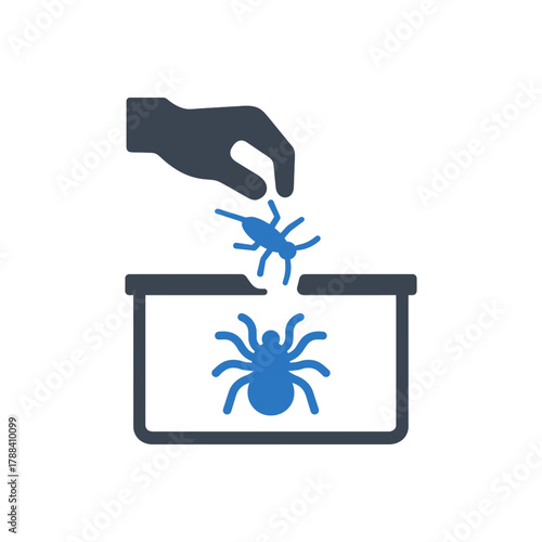 Feeding pet tarantula icon