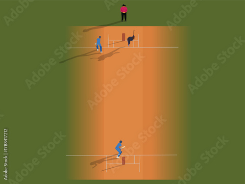 Cricket Pitch Top View Cricketers Playing Cricket Match on Pitch