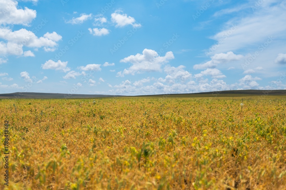 Fototapeta premium Beautiful hilly landscape in the foreground with blue sky