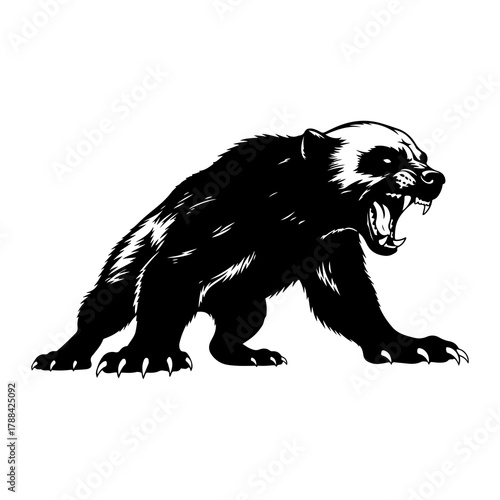 Aggressive wolverine in silhouette animal black and white