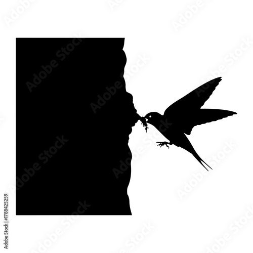 Bird feeding chick at cliff face silhouette rock face