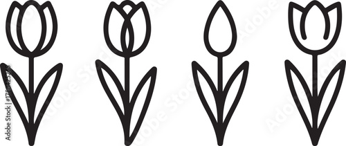 Simple Tulip Flower Line Icons Set: Botanical, Spring, Floral, and Nature Outline Symbols