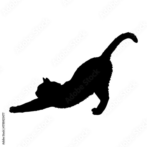 Black Cat Silhouette Stretching on White Background
