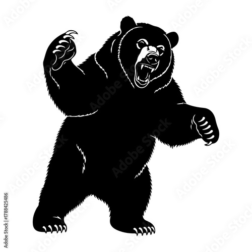 Black Bear Roaring Aggressively Standing Upright Keywords: bear, black bear, roaring, aggressive