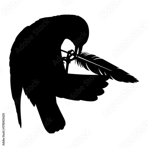 Black Silhouette of a Bird Preening a Feather cleaning