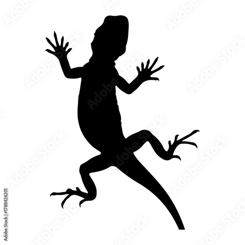 Black silhouette of a lizard climbing on a white background Keywords: lizard, silhouette, animal
