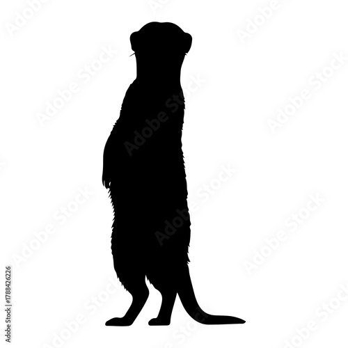 Black silhouette of a meerkat standing alert on a white background