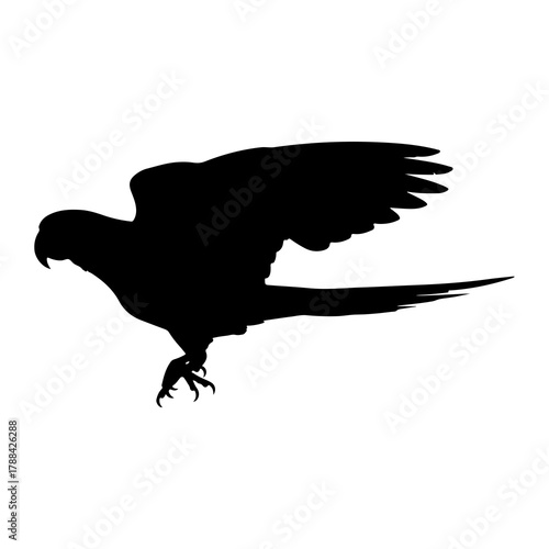 Black Silhouette of a Parrot in Flight on White Background