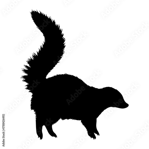 Black silhouette of a skunk with a bushy tail raised