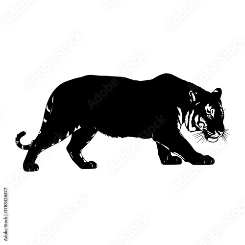 Black silhouette of a walking tiger on a white background