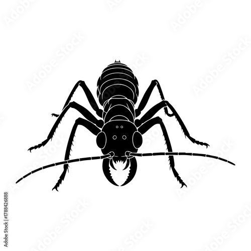 Black silhouette of an ant with large mandibles insect