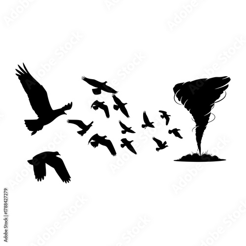 Flock of Birds Flying Away from a Tornado Silhouette