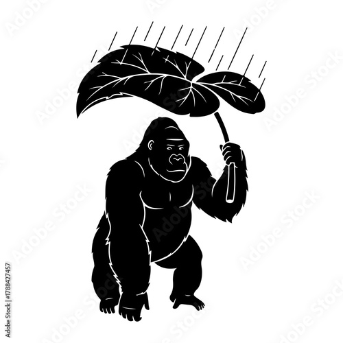 Gorilla holding a large leaf as an umbrella in the rain Keywords: gorilla, ape, primate