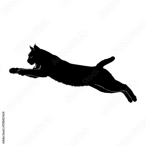 Lynx Silhouette Mid- Jump on White Background Keywords: lynx, wild cat, feline, animal
