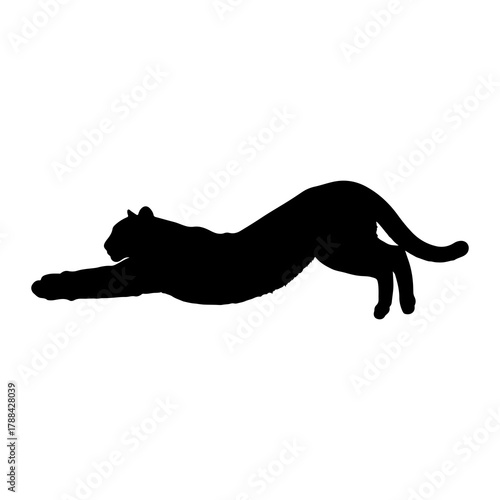 Silhouette of a big cat stretching its front legs yawning