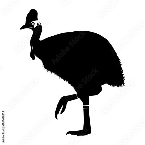Silhouette of a cassowary bird black and white flightless bird