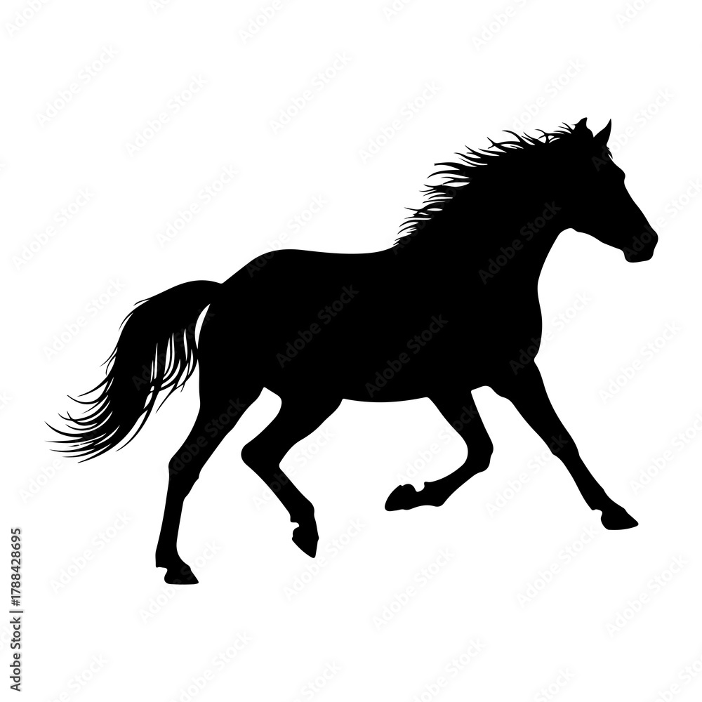 Obraz premium Silhouette of a galloping horse with flowing mane and tail