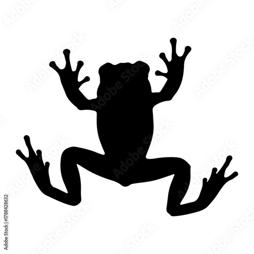 Silhouette of a frog with spread limbs on a white background
