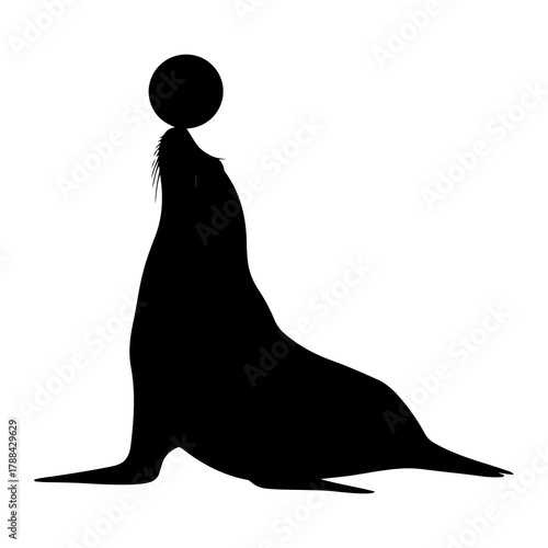 Silhouette of a Seal Balancing a Ball on its Nose circus