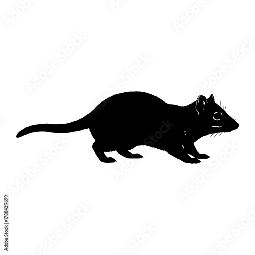 Silhouette of a Small Mammal with a Long Tail animal
