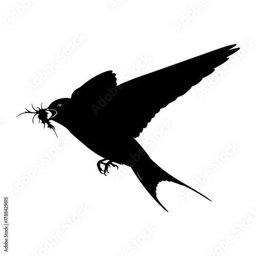 Silhouette of a swift bird in flight with nesting material