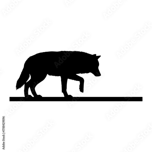 Silhouette of a wolf walking on a horizontal line animal