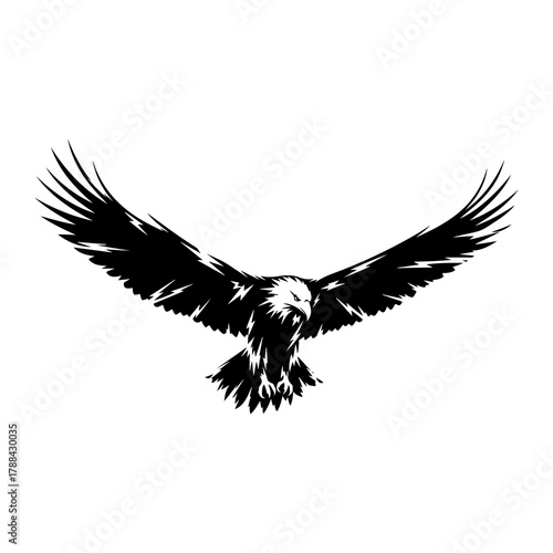 Silhouette of an eagle in flight with wings spread