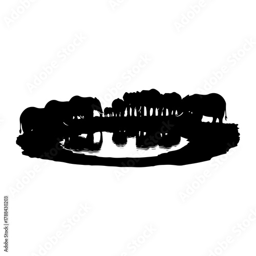 Silhouette of Elephants Drinking at a Waterhole herd