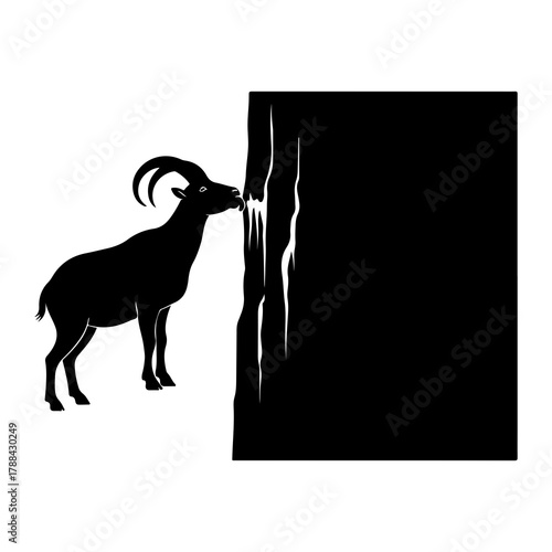Silhouette of Ibex licking a rock face with copy space