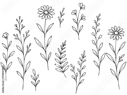 A series of black and white drawings of flowers. The flowers are drawn in a stylized way, with some of them having a more delicate appearance