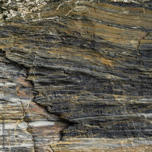 Beige and Grey Mudstone Texture