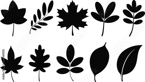 Collection of black silhouette autumn leaves and twigs on white background